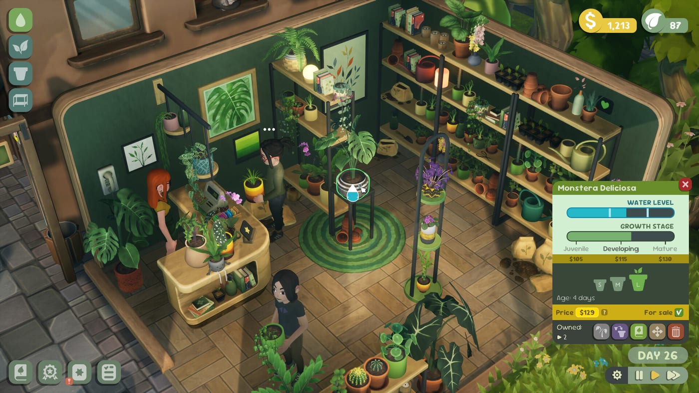 Leafy Corner shop decorations